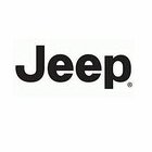 启东大生Jeep