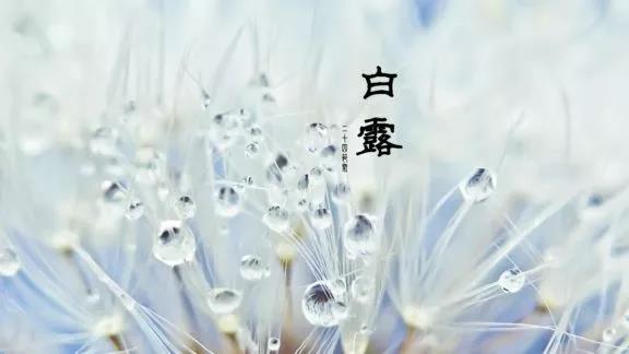 微信图片_20210907163853.jpg