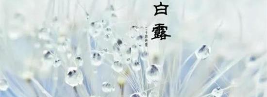 白露：转凉的秋季，记得关爱自己